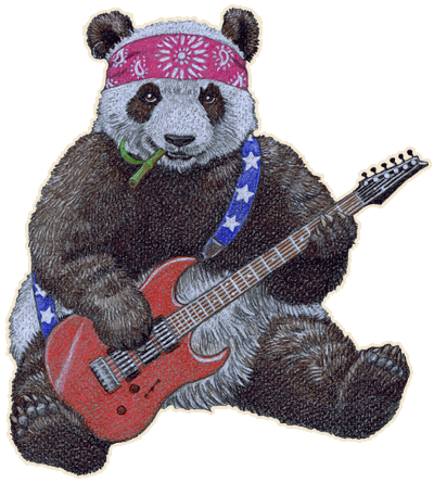 caryad; steel panther; panda; guitar gitarre